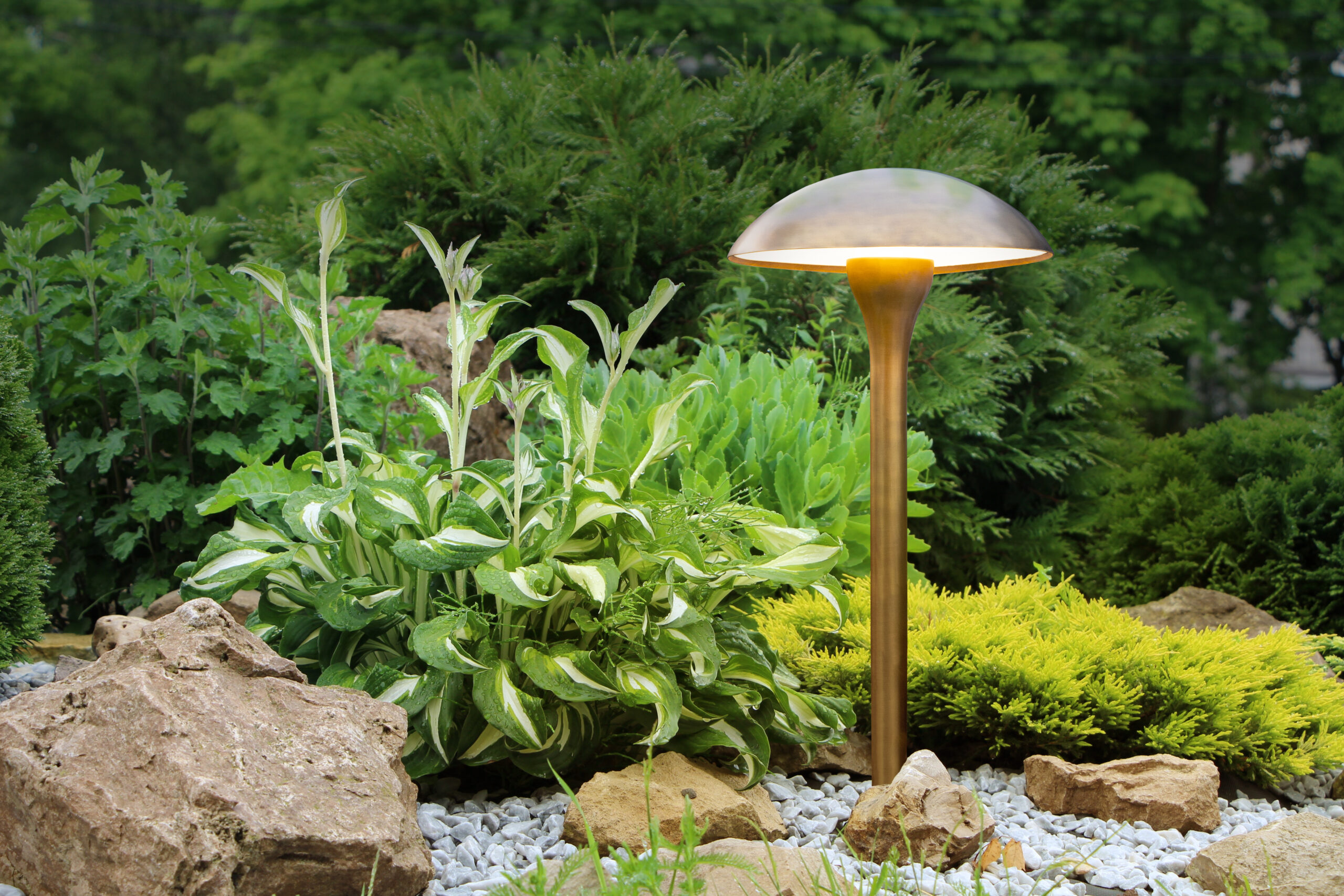 Royal Botania Fungy - Afbeelding 3