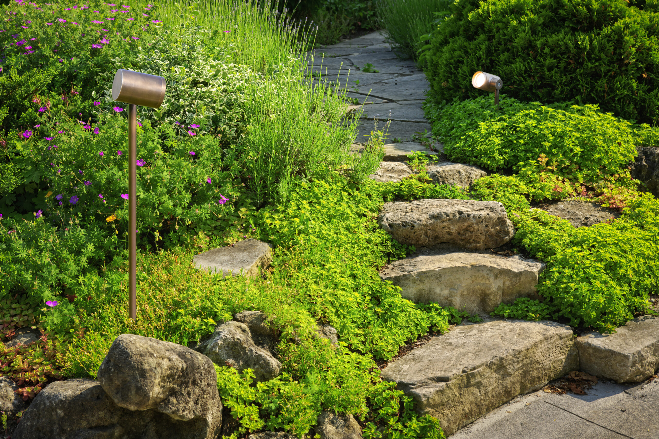 Royal Botania Spotty - Afbeelding 3